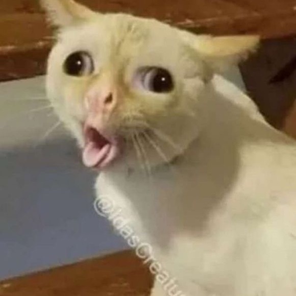 Meet your Posher, Andrew - Picture 1 of 1